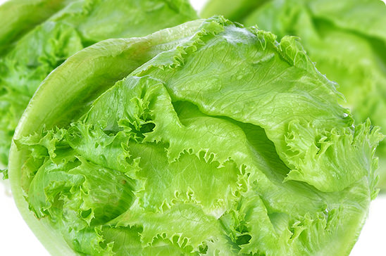 Lettuce